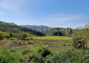 Vista delle montagne - Terreno agricolo Favara - foto 21