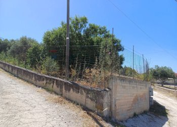 Giardino - Rustic Via Enrico La Loggia, Agrigento - photo 14