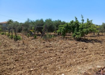 Giardino - Rustic Via Enrico La Loggia, Agrigento - photo 23
