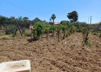 terreno - Rustic Via Enrico La Loggia, Agrigento - photo 38