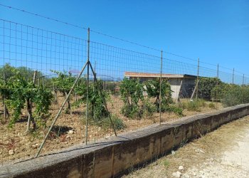 strada confinante - Rustic Via Enrico La Loggia, Agrigento - photo 39