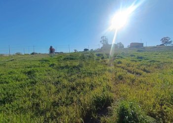 Vista delle montagne - Terreno agricolo Via Mirafiori, Agrigento - foto 15