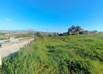 Giardino - Terreno agricolo Via Mirafiori, Agrigento - foto 17
