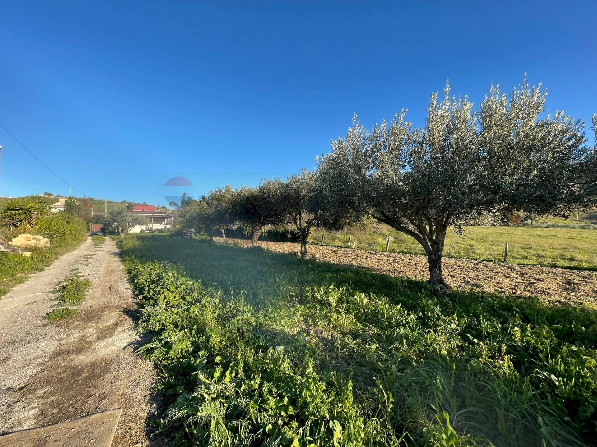 Giardino - Villa Agrigento - foto 2