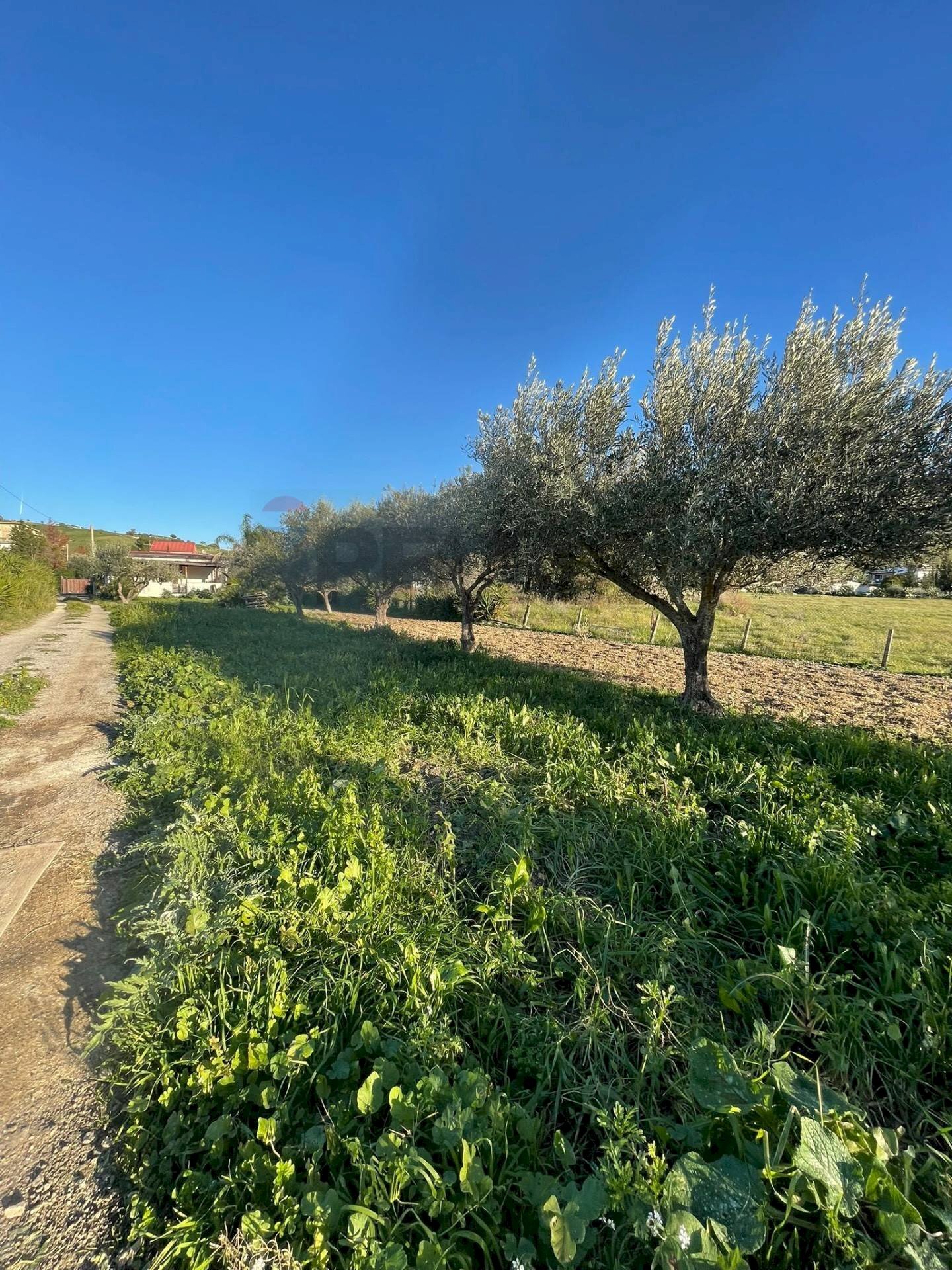 Giardino - Villa Agrigento - foto 3