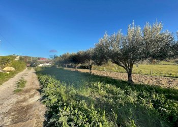 Giardino - Villa Agrigento - foto 2