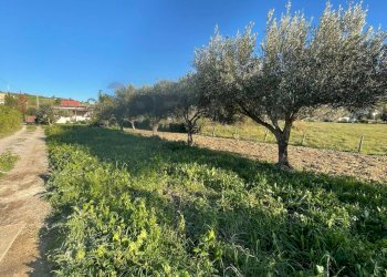 Giardino - Villa Agrigento - foto 3