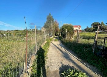Giardino - Villa Agrigento - foto 5