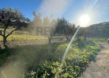 Giardino - Villa Agrigento - foto 6