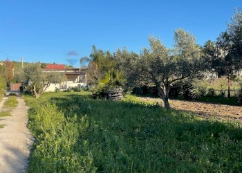 Giardino - Villa Agrigento - foto 7