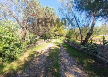 Giardino - Villa SS 112
 
38, Favara - foto 45