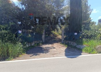 Giardino - Villa SS 112
 
38, Favara - foto 47
