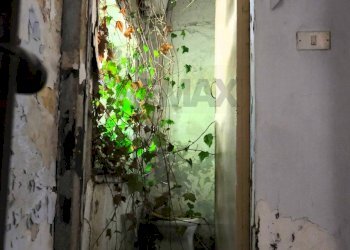 Non correlato - Casa indipendente Favara - foto 57