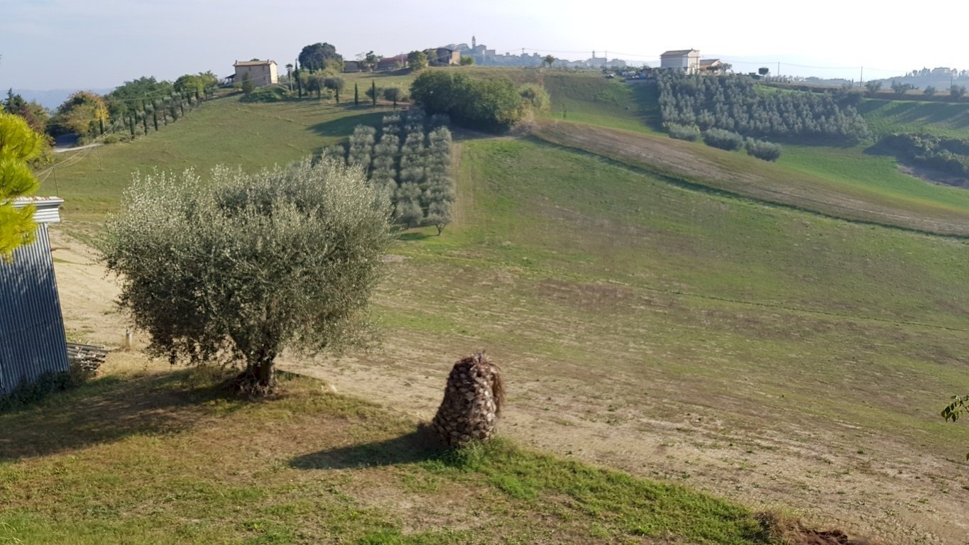 Foto 3 - Rustico CONTRADA PAGLIARE, Monsampolo del Tronto - foto 3