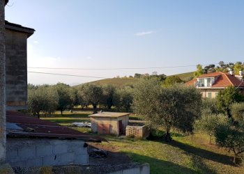 Foto 7 - Rustico CONTRADA PAGLIARE, Monsampolo del Tronto - foto 7
