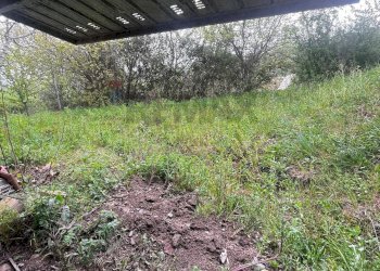 Giardino - Casa indipendente CONTRADA SELVA
 
SNC, Toro - foto 23