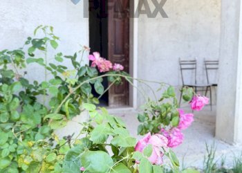 Giardino - Independent house CONTRADA SELVA
 
SNC, Toro - photo 3