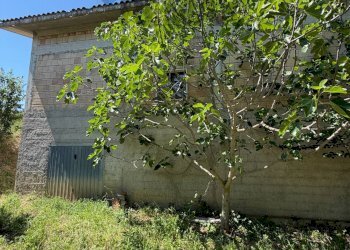 Giardino - Independent house CONTRADA SELVA
 
SNC, Toro - photo 14