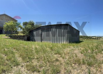 Casa all\'aperto - Independent house CONTRADA SELVA
 
SNC, Toro - photo 15
