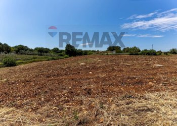 Vista delle montagne - Baita Via Mottola, Martina Franca - foto 4