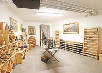 Cantina - Villa via colombo, Treviolo - photo 39