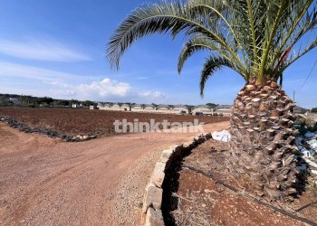 Foto 12 - Building land Strada Provinciale 44, Scicli - photo 12