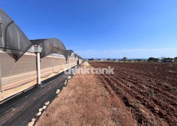 Foto 17 - Building land Strada Provinciale 44, Scicli - photo 17