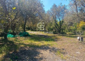 Foto 3 - Magazzino Santa Venerina - foto 3