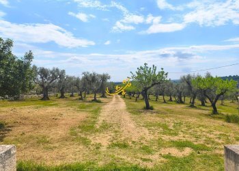 Foto 4 - Baita Contrada Zingarello, Monopoli - foto 4