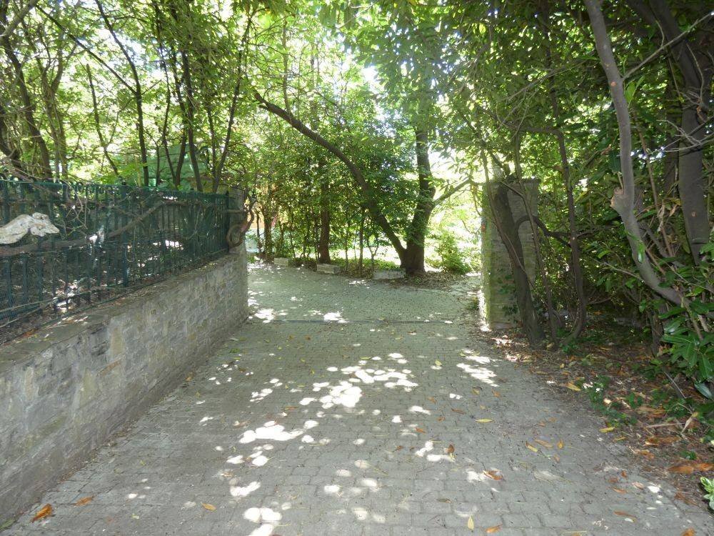 Giardino - Casa indipendente Località Sant'Eufemia, Sinio - foto 1