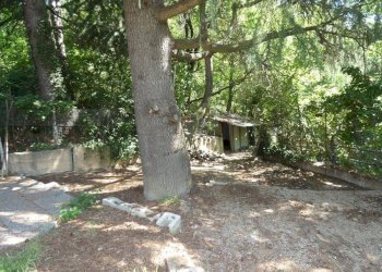 Giardino - Casa indipendente Località Sant'Eufemia, Sinio - foto 9