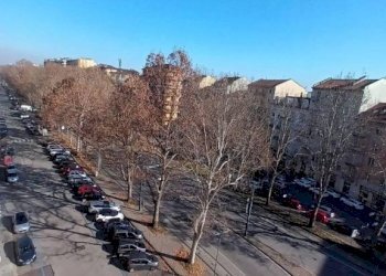 Vista - Four-room apartment corso Duca degli Abruzzi, 106, Torino (neighborhood Crocetta) - photo 5