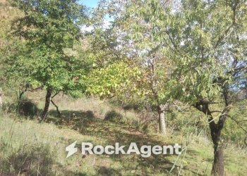 Terreno - Rustic contrada Pantano, Reitano - photo 33