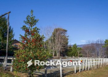 Terreno - Rustic Borgata Veneria, 36, Giaveno - photo 29