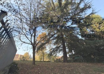 Terreno - Quadrilocale San Lazzaro di Savena - foto 4