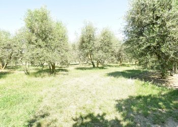 Appartamento Forlì - foto 19