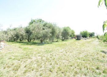 Appartamento Forlì - foto 20