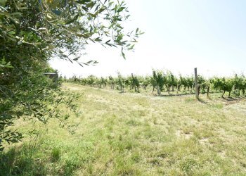 Appartamento Forlì - foto 21