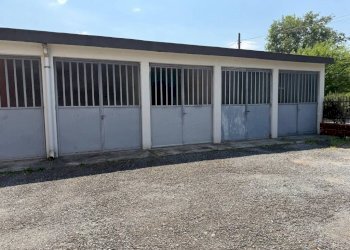 Bilocale Torino - foto 7