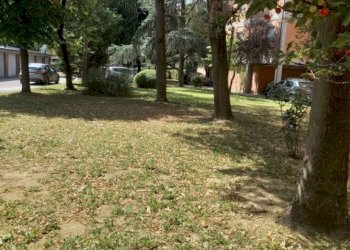 Trilocale Ravenna - foto 1