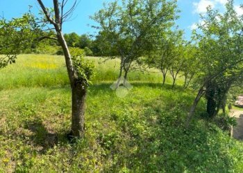 Rustic Pavullo Nel Frignano, Pavullo nel Frignano - photo 19