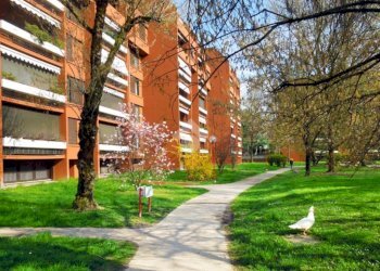 Trilocale via Gugliemo Marconi, frazione Milano 3, Basiglio - foto 19