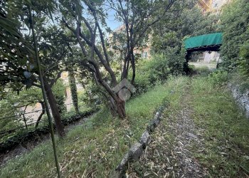 Villa via Domenico Chiodo, Genova (neighborhood Castelletto) - photo 38