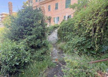 Villa via Domenico Chiodo, Genova (neighborhood Castelletto) - photo 43
