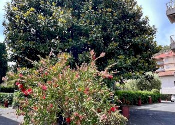 Appartamento Via Louis Pasteur, 211, Bordighera - foto 35