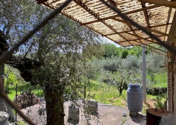 Terrazza - Terreno agricolo Contrada Pianodario
snc, Randazzo - foto 4