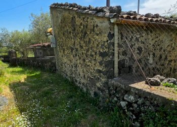 Giardino - Terreno agricolo Contrada Pianodario
snc, Randazzo - foto 5