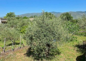Vista delle montagne - Terreno agricolo Contrada Pianodario
snc, Randazzo - foto 16