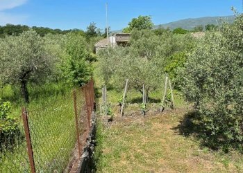 Giardino - Terreno agricolo Contrada Pianodario
snc, Randazzo - foto 19
