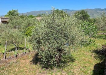 Vista delle montagne - Terreno agricolo Contrada Pianodario
snc, Randazzo - foto 24
